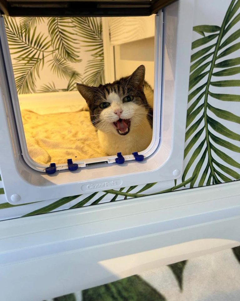 Garden View peeper