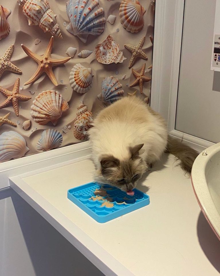 Lickie Mat