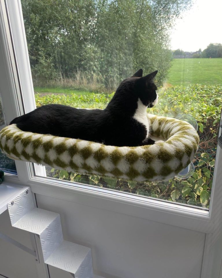 Monty - Window Seat