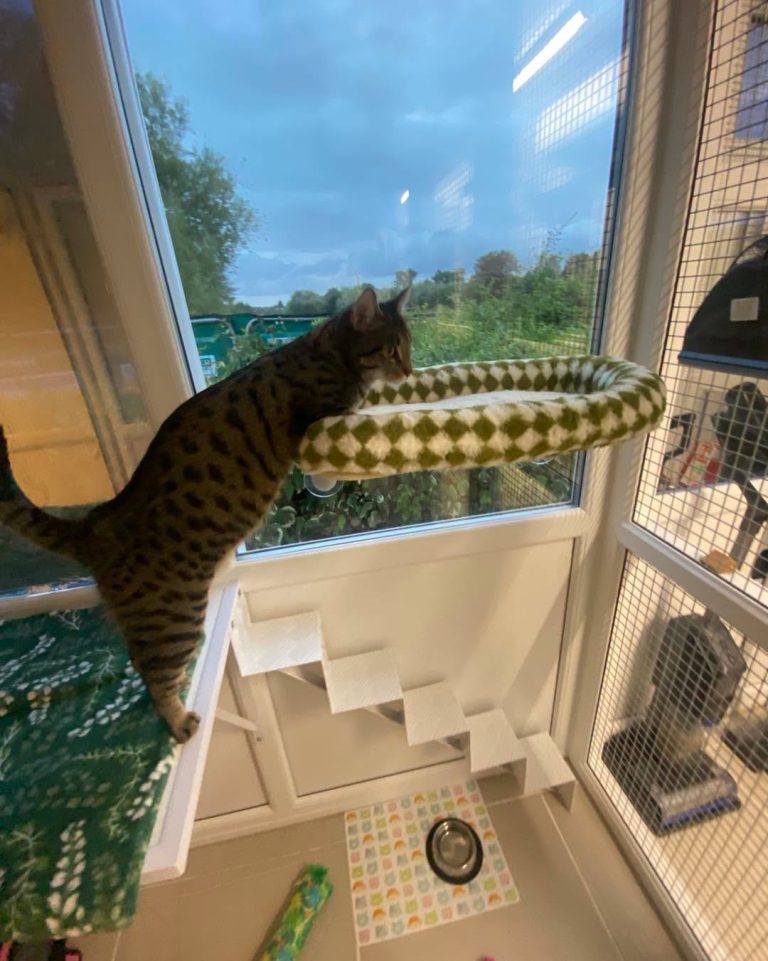 Window Seat
